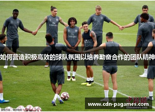 如何营造积极高效的球队氛围以培养勤奋合作的团队精神