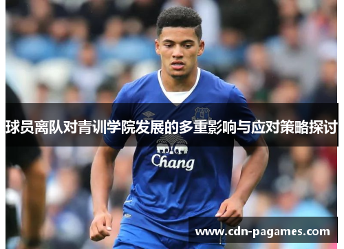 球员离队对青训学院发展的多重影响与应对策略探讨