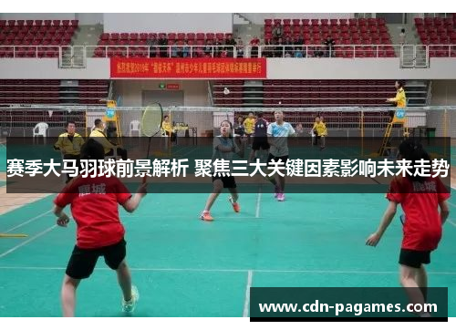 赛季大马羽球前景解析 聚焦三大关键因素影响未来走势